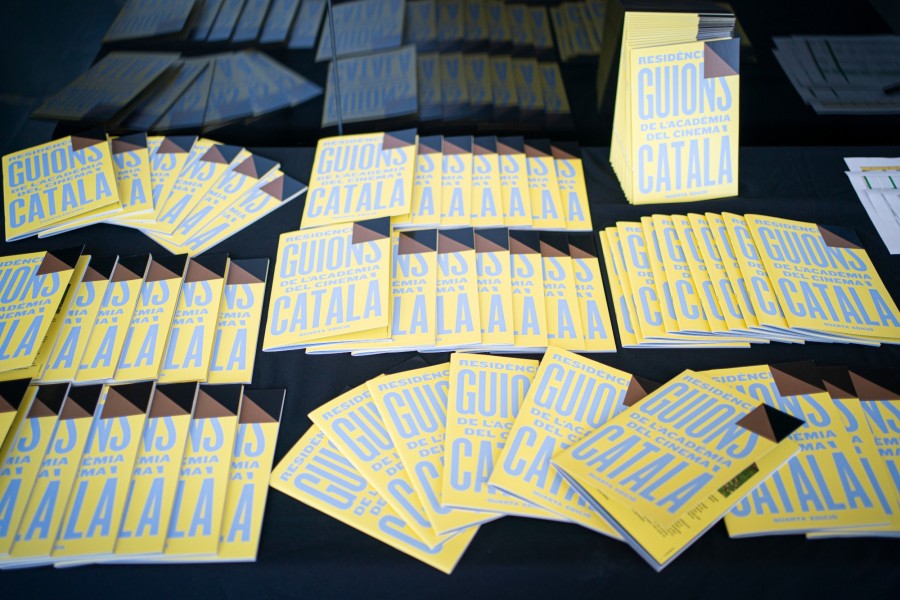 4a edició Residència de guions - Presentació de projectes 