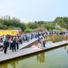 festa d estiu acade  mia cinema catala  