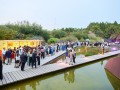 festa d estiu acade  mia cinema catala  