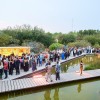 festa d estiu acade  mia cinema catala  