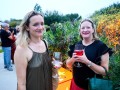 festa d estiu acade  mia cinema catala  